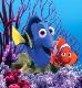 Finding Nemo