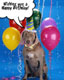 Wishing you a Happy Birthday!