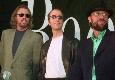 Bee Gees