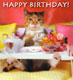 Happy Birthday!