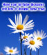 Hope your birthday blossoms into lots of dreams come true!