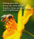 Wishing you a day soft as silk, white as milk. Sweet as honey and full of money. HAPPY BIRTHDAY ...