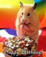 Happy Birthday!