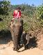 Cute elephant and baby