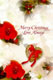 Merry Christmas... Love Always