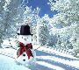 Frosty the snow man