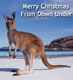 Merry Christmas From Down Under