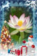 Flower and presents