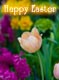 Blessed be our God who saves. Happy Easter