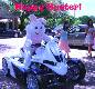 Happy Easter!