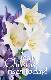 Jesus Christ is risen today!