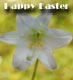 Happy Easter