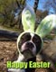Happy Easter