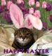 Happy Easter