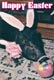 Happy Easter