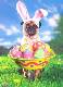 Easter