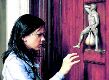 Door knock