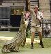 Steve Irwin
