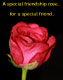 Friendship