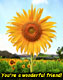 For you my friend