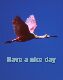 Have a nice day