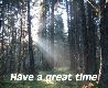 Have a great time