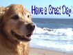 Have a Great Day