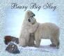 Beary Big Hug