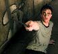 Daniel Radcliffe
