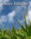 Happy Holiday