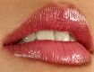 Lip