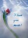 I love you mum!