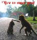 Nice to meet you!
