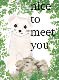 Nice to meet you