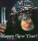 Happy New Year!