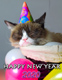 Happy New Year 2012. Bring out the champagne!