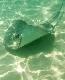 Stingray