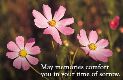 May memories comfort you in your time of sorrow