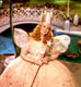 Billie Burke (Glinda the Good Witch)
