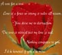 A rose for a rose.