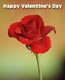 Happy Valentine's Day