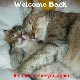 Welcome Back. It's nice to see you again
