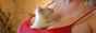 click here to visit this site
